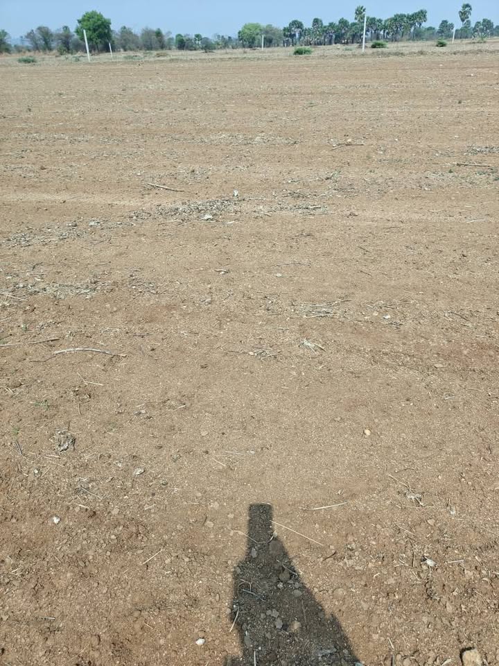 Property in Indore