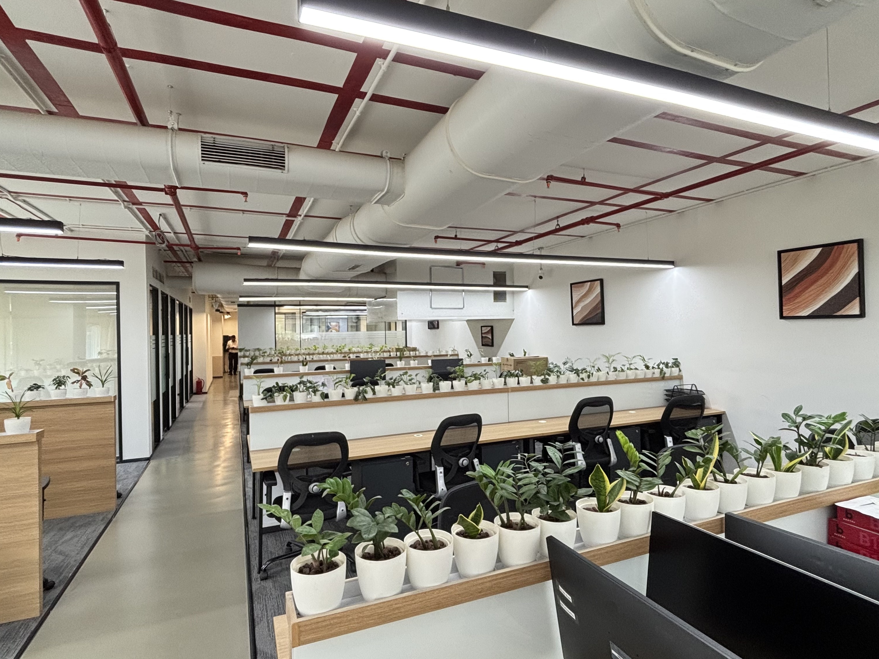 Property in Indore